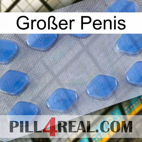 Großer Penis 21.jpg